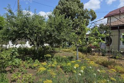Loc. Cumpana - Casa  cu teren 600 mp -deschidere 19 mp - garaj - 119.500 Euro - 36