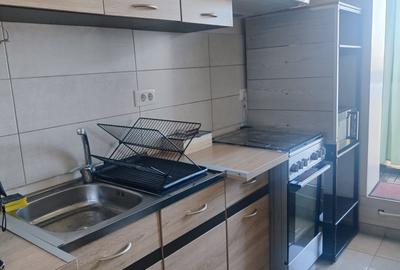 Apartament cu 2 camere decomandat în Dobroești - 10