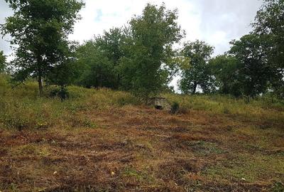 Teren de 4800 mp, în Parava - 5