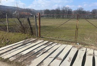 Spațiu comercial, în Călinești