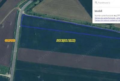 Cota de 5/24 din teren extravilan Carpinis, judetul Timis; - 2