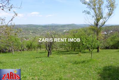 Teren Construcții intravilan de 3658 mp, în Predeal-Sărari - 1