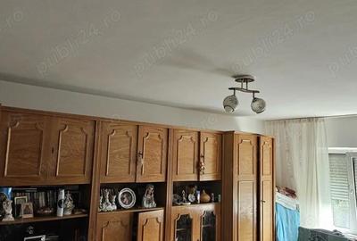 Apartament cu 2 camere decomandat în Nufărul - 2