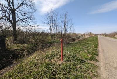 Teren intravilan Balint 22.500 mp - 9