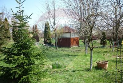 Casă cu 5 camere cu Teren 1922 Mp în Ciofliceni - 3