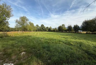 Casă cu Teren 6000 Mp în Sâmbăta de Sus - 11