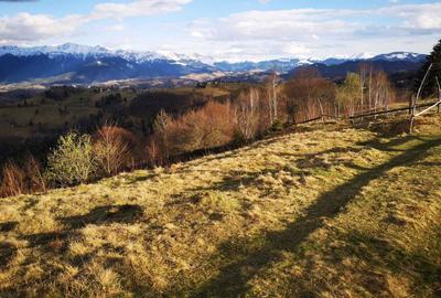 Spațiu comercial, în Peștera - 2