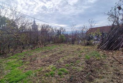 Casa de vanzare in Unirea 725 mp teren - 9