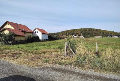 Teren de 4300 mp, în Central - 3