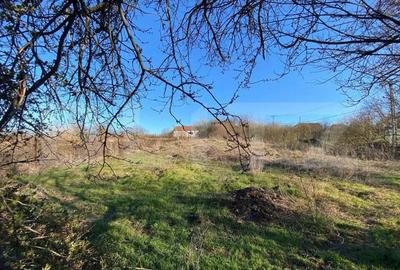 Casa veche cu 4 camere, teren 1800 mp, Henig - 2