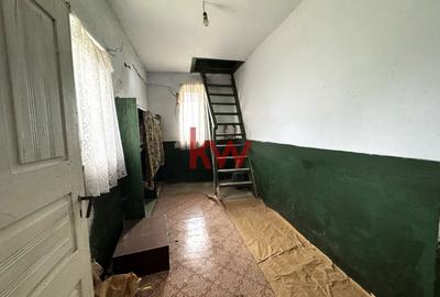 Casa+Teren 1ha - Centru Plesesti, Vulturesti - 15