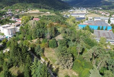 De vanzare - Teren 5.193 mp, pasune partial impadurita, Campulung - 2