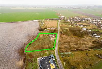 Teren intravilan de 5000 mp, în Roit - 3