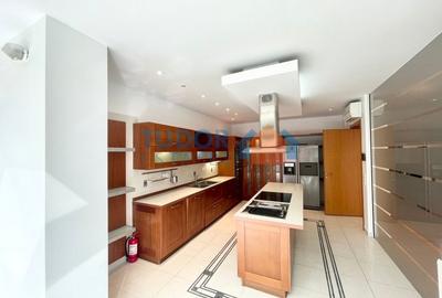 Duplex cu 7 camere cu Canalizare în Iancu Nicolae - 3