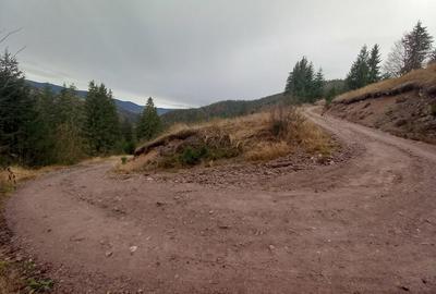 Teren de 3876 mp, în Gârda de Sus - 2