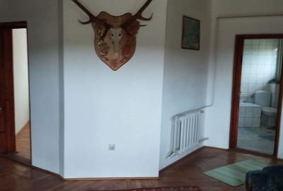 Casă cu 2 camere cu Teren 8000 Mp în Budieni - 5