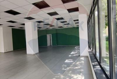 Spatiu comercial de inchiriat - 4