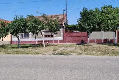Casa de vanzare Nadlac - 1