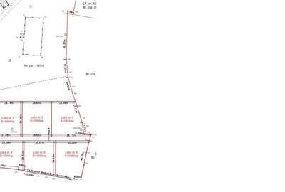 Teren Construcții intravilan de 1000 mp, în Bran - 2