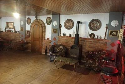 Casa sau afacere in Comlosu Mic - 8