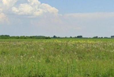 Teren Costestii din Vale, ID: R2582235 - 16