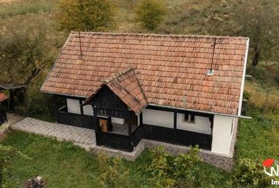 Casă cu 2 camere în Mureșenii de Câmpie - 10