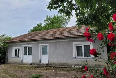 Cernica, Tanganu - 2