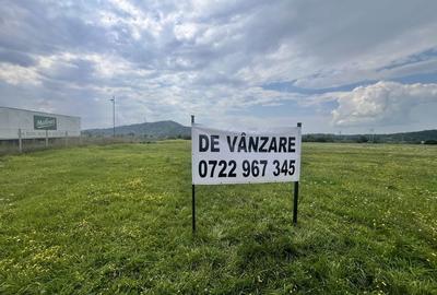 Spațiu comercial, în Hărman - 5