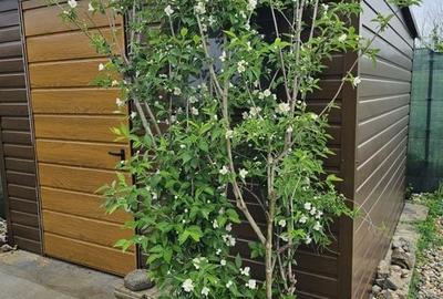 Casă P+1+pod și curte 908 mp - mobilata si utilata, Zero comision Casă P+1+pod și curte 908 mp - mobilata si utilata, Zero comision - 12