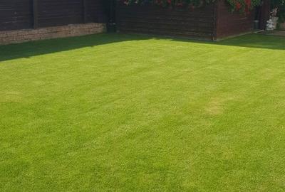 Casă cu 4 camere în Vlădești - 12