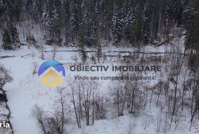 Teren de 2283 mp, în Tarcău - 18