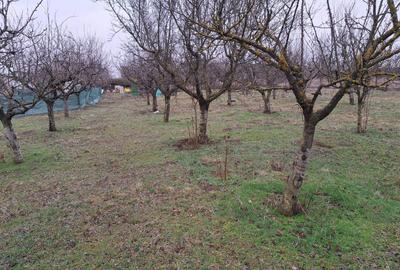 Spațiu comercial, în Siliștea - 3