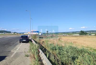Teren Construcții intravilan de 6000 mp, în Micești - 3