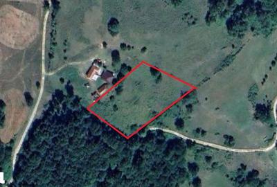 Teren de 6400 mp, în Șuncuiuș - 1