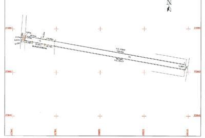 Teren Construcții intravilan de 4700 mp, în Zăpodia (Traian) - 2