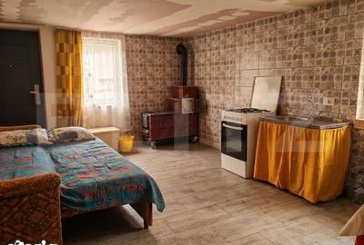 Casă cu 4 camere cu Teren 12186 Mp în Rapoltu Mare - 3