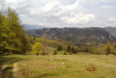 Teren Construcții intravilan de 911 mp, în Podu Dâmboviței - 7