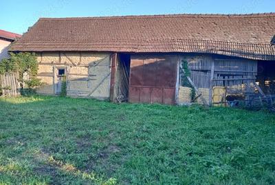 Casă cu 1 camere cu Teren 1500 Mp în Sâmbăta - 1