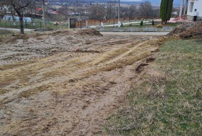 Spațiu comercial, în Stâlpeni - 4