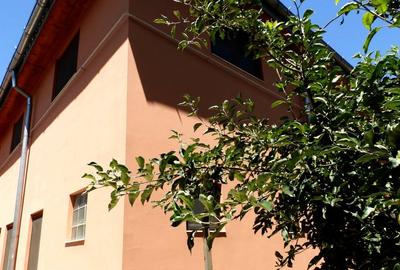 Casa parter plus Mansarda zona Ultracentrala, teren 550mp - 8