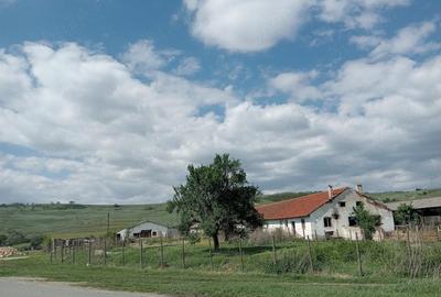 Spațiu comercial, de 4,565 mp, în Cunța - 7