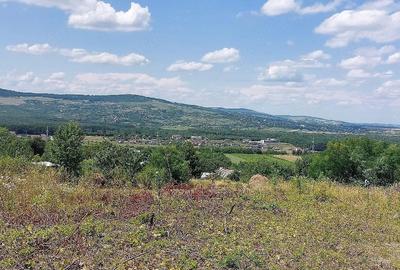 Teren de 6310 mp, în Curături - 5