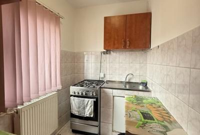 Apartament spatios cu o camera, 20 mp + balcon - Bucovina - 3