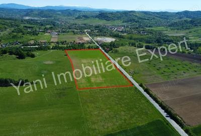 Teren de 69700 mp, în Tigveni - 18