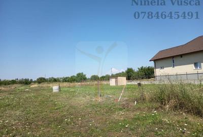 OFERTA!! TEREN INTRAVILAN ANINOASA-DAMBOVITA - 4