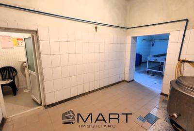 Spațiu comercial, de 250 mp, în Șmig - 10