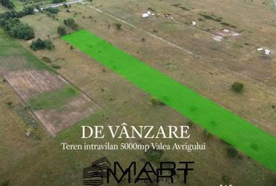 Teren de 5000 mp, în Avrig - 6