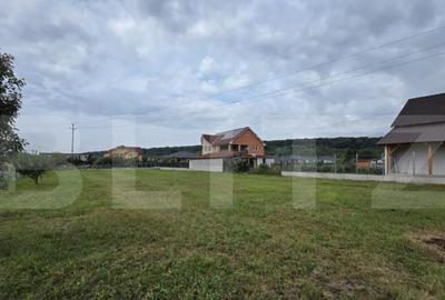 Teren intravilan 15 ari, zona Viile cu Pomi, 76000 euro - 2