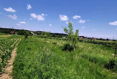 Teren extravilan 4000mp - 4