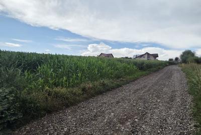 Spațiu comercial, în Moara - 2